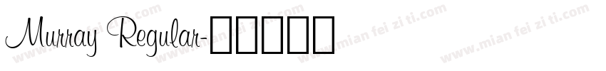 Murray Regular字体转换
